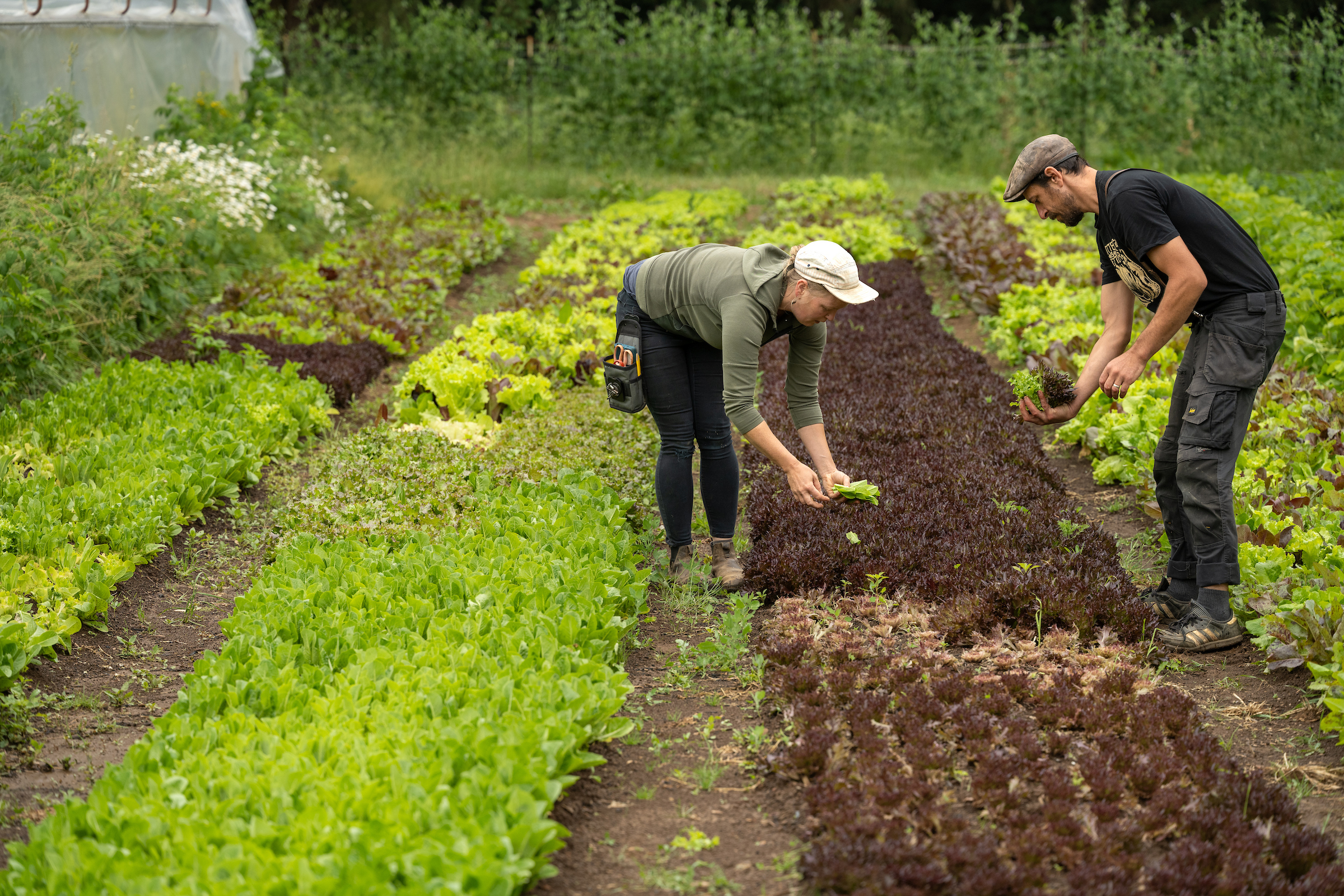 2025_Wild_Child_Farm_0028 (1)