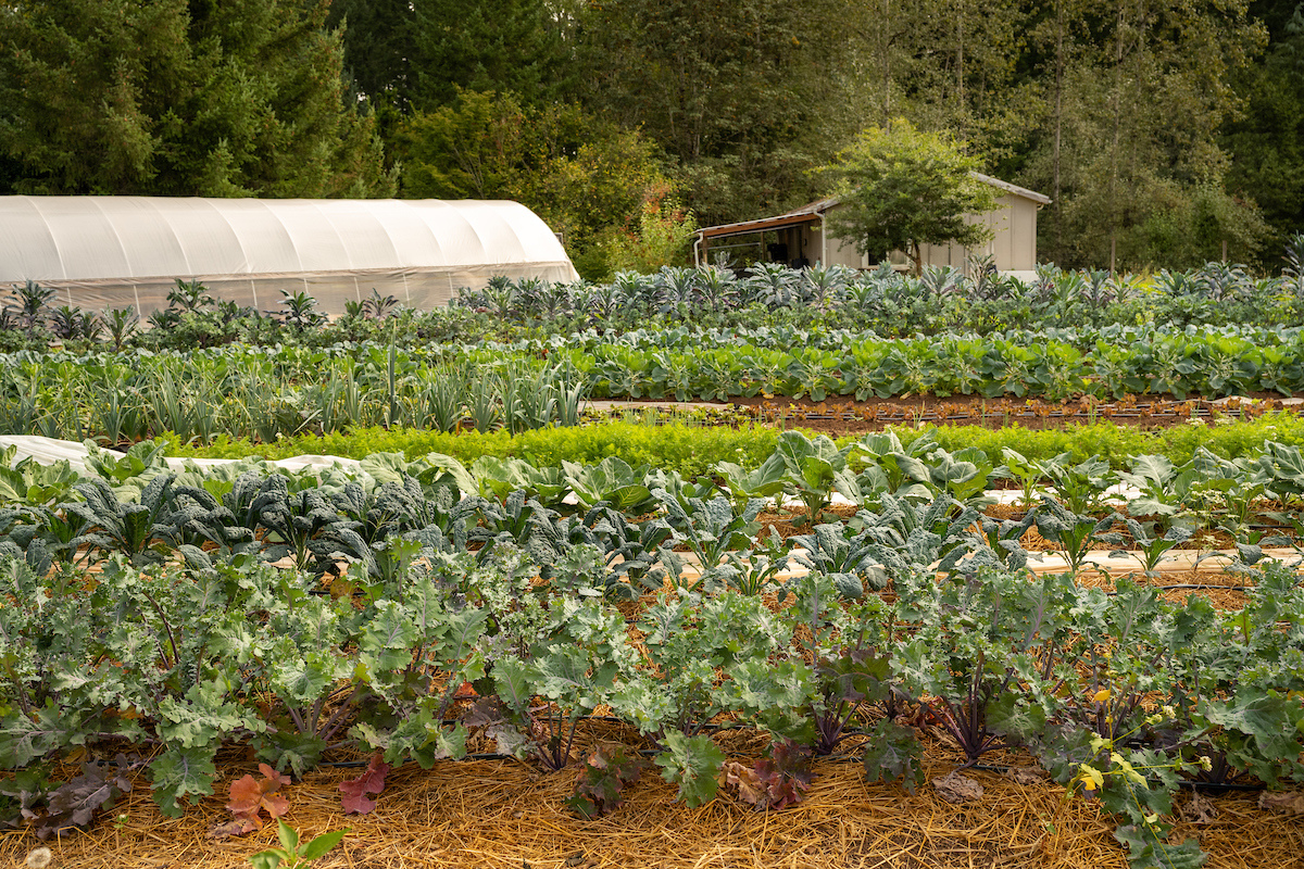 5d765e84-0ae2-41e8-bf41-027f7838a55f (1)